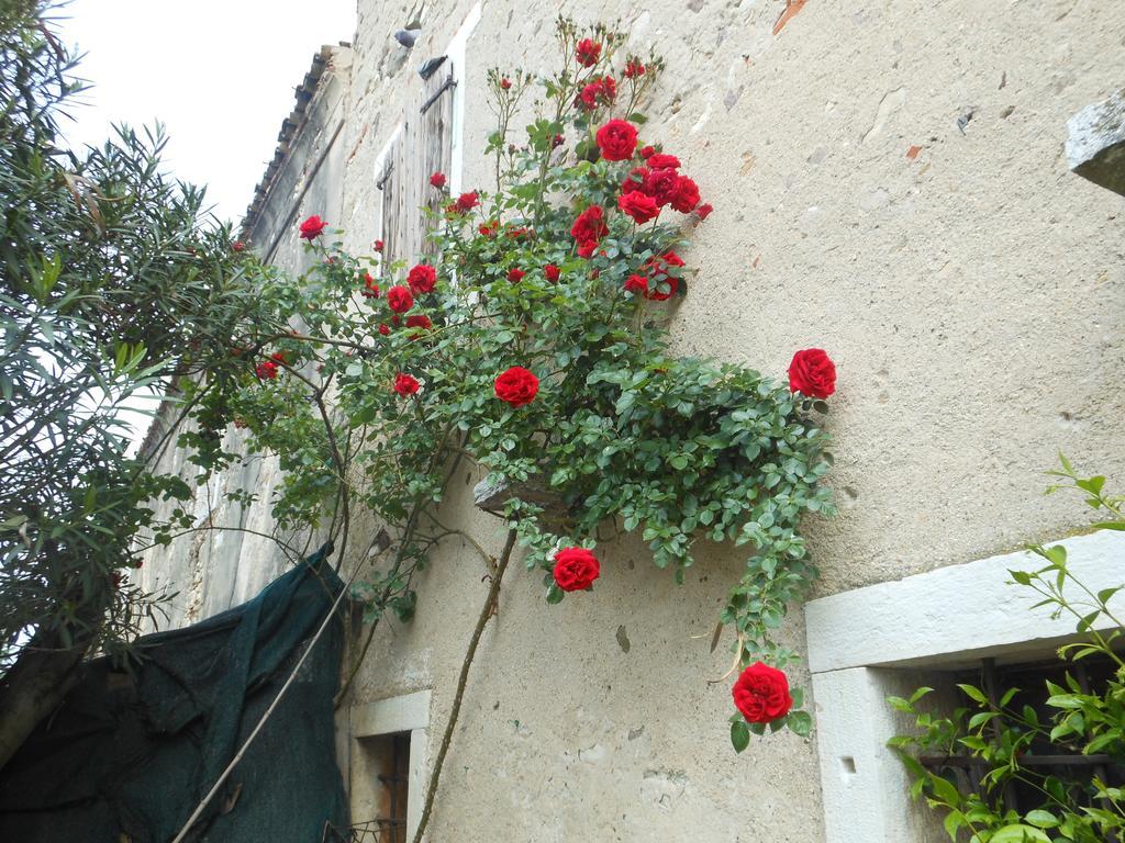 Albergo Mio Lazise Oda fotoğraf