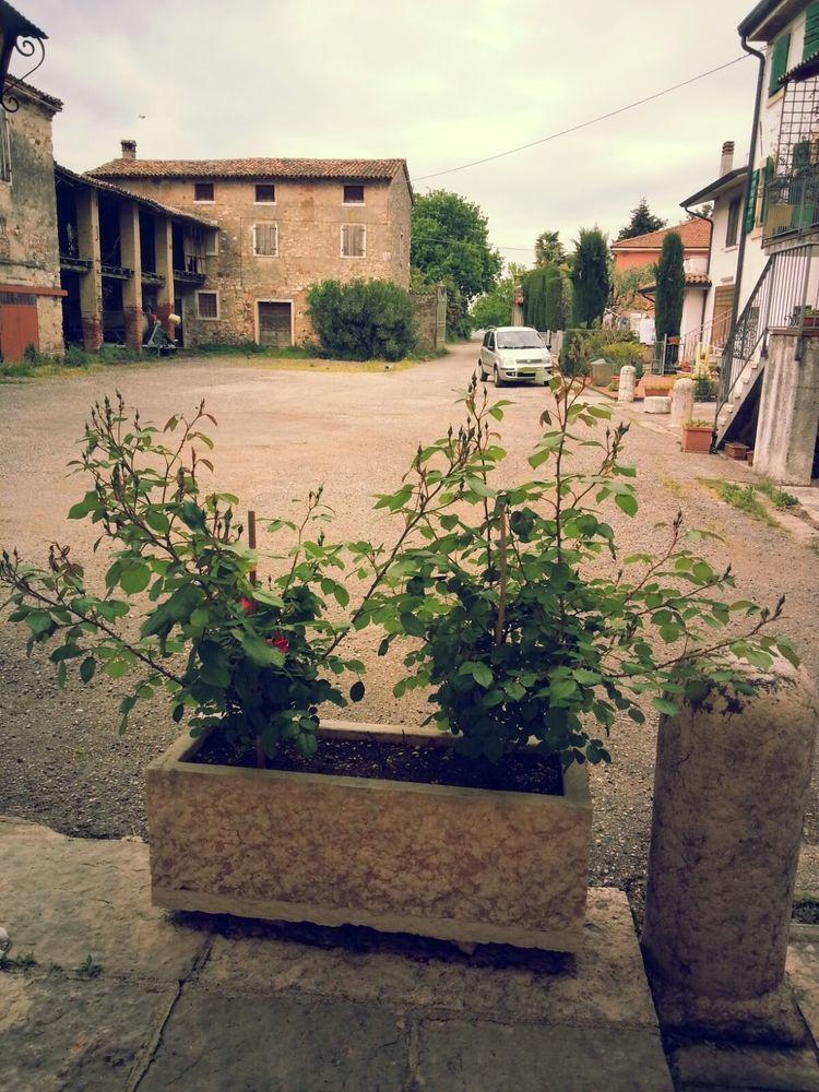 Albergo Mio Lazise Dış mekan fotoğraf